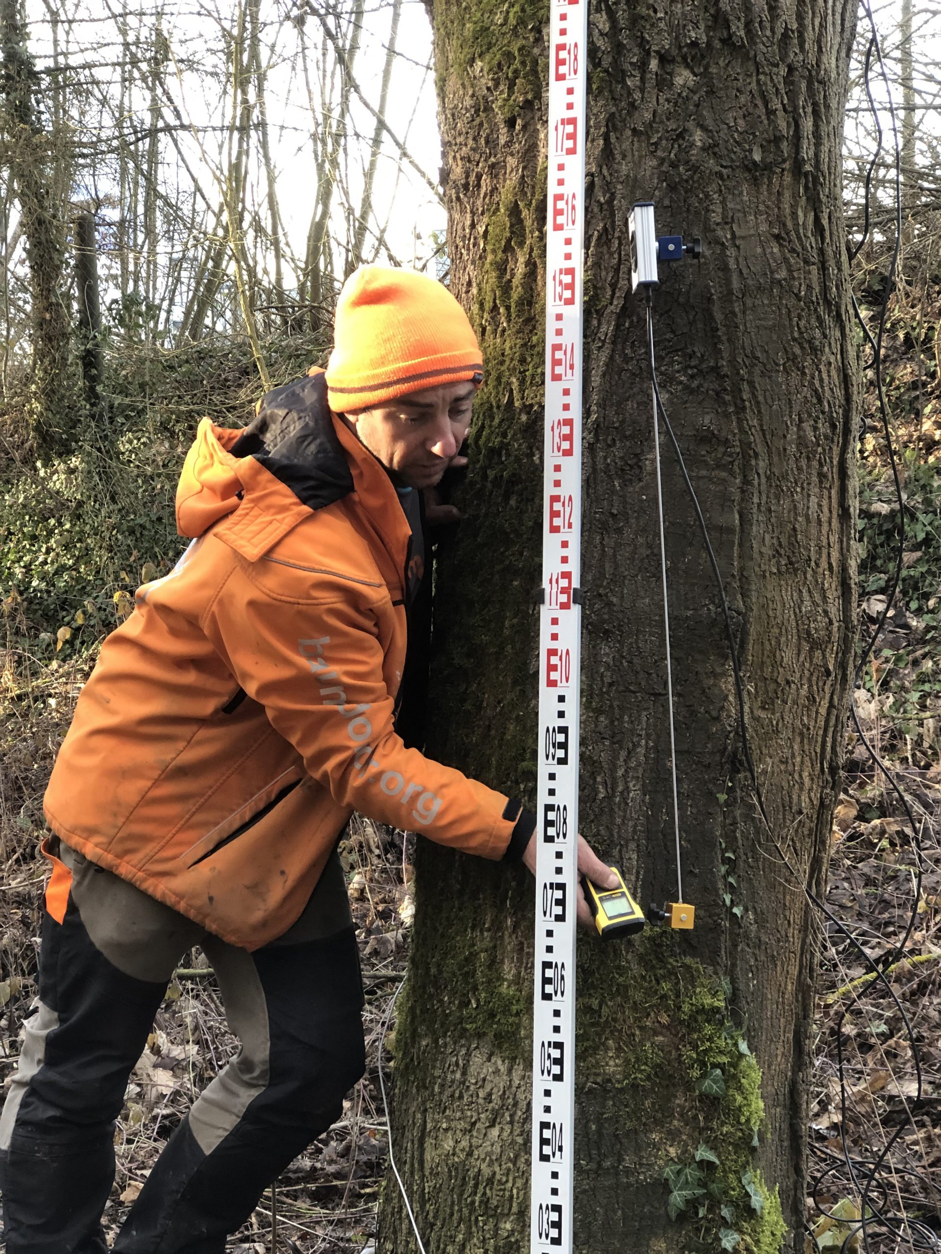 Baumsachverständiger Alexander Kraus aus Limburg-Weilburg