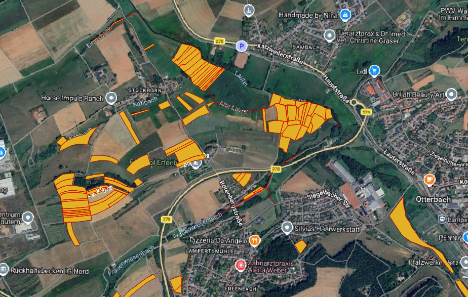 Baumkataster mit GPS, Kontrolle waldähnlicher Bestände